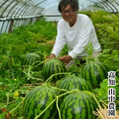 【2026年7月～8月発送】山中農園のスイカ　1玉　103001