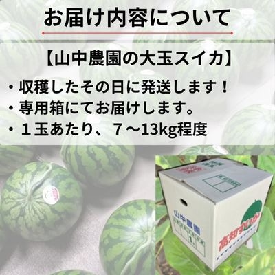 【2026年7月～8月発送】山中農園のスイカ　1玉　103001