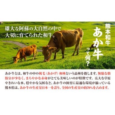 肉 和牛 あか牛カルビ焼肉用400g(あか牛のたれ付き)たれ 200ml 道の駅竜北
