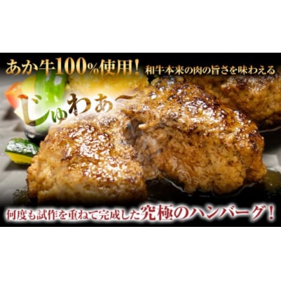 くまモン あか牛 ハンバーグ 120g×6個 あか牛のたれ付き 熊本県産 あか牛 あかうし 道の駅竜