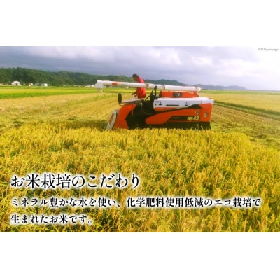 米 令和7年 ひゃくまん穀 精米 5kg [みどりの波 石川県 宝達志水町 38601255]