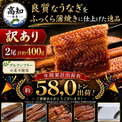 【訳あり】うなぎ 国産 蒲焼き 2尾 計約400g うなぎの蒲焼き 鰻蒲焼き Sfb-0228