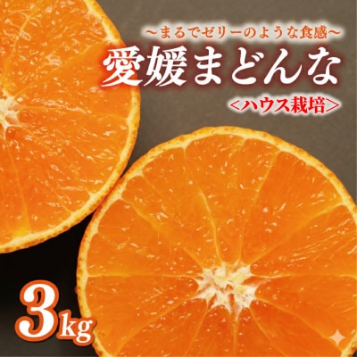 先行受付 数量限定  正品 まどんな (愛果28号) 3kg 前田ファーム