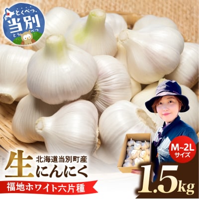 【令和9年度先行受付】生にんにく(福地ホワイト六片種)1.5kg_tb22-004