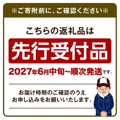 【令和9年度先行受付】生にんにく(福地ホワイト六片種)1.5kg_tb22-004