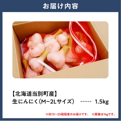 【令和9年度先行受付】生にんにく(福地ホワイト六片種)1.5kg_tb22-004