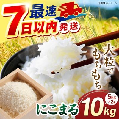 【スピード発送】令和7年産 にこまる 玄米品質1等米 白米 10kg 糸島市産[AGR002]