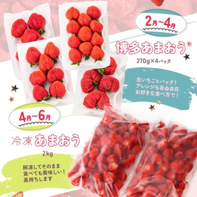 【あまおうが大好きなアナタへ】あまおう定期便(全4回)【あまおう】.EB003