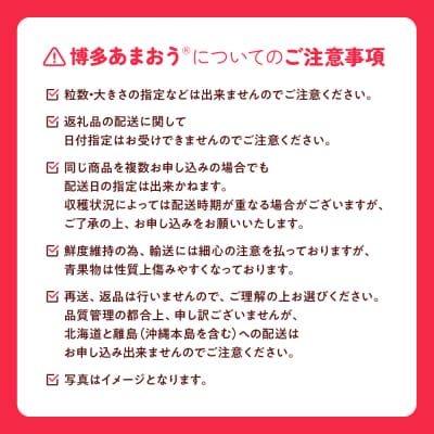 【あまおうが大好きなアナタへ】あまおう定期便(全4回)【あまおう】.EB003