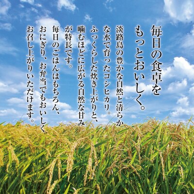 淡路島産こしひかり5kg　at03013