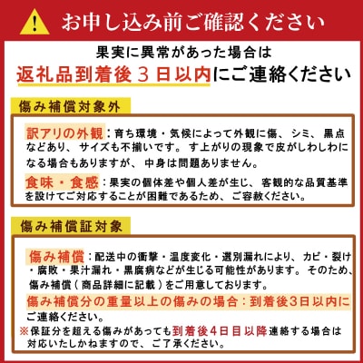 【発送期間:2026年10月～】訳あり 愛媛みかん 5kg みかん 愛媛県 愛南町 吉本農園