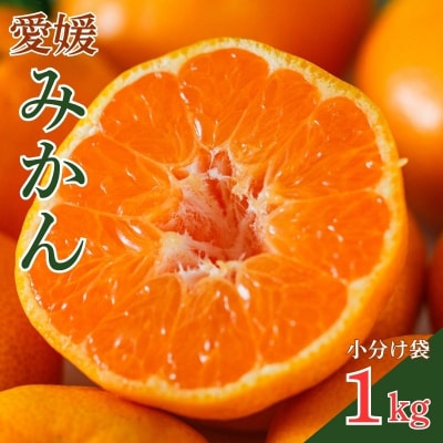【発送期間:2026年10月～】小分け 愛媛みかん 1kg みかん 愛媛県 愛南町 吉本農園 