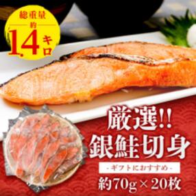 厳選!!銀鮭切身(約70g)20枚 合計約1.4kg