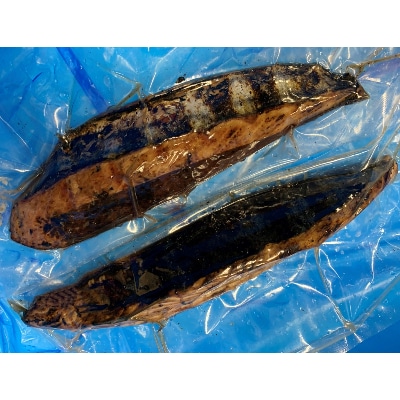 期間限定!千葉県勝浦産　「生かつおたたき」(約300g×2節)