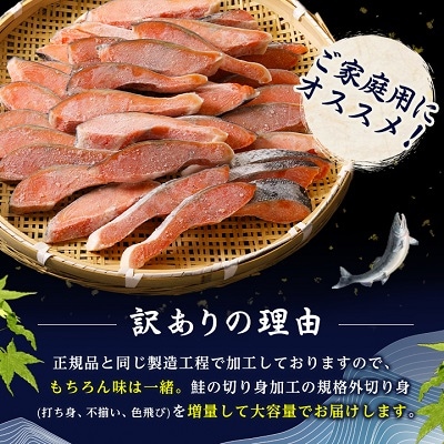 【訳あり】人気の海鮮返礼品 B級銀鮭切り身(打ち身、不揃い、色飛び)約2.8kg