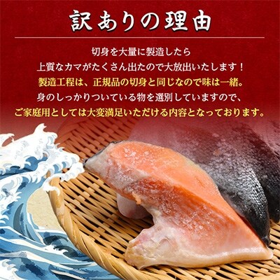 【わけあり】大容量!銀鮭カマ 約4kg