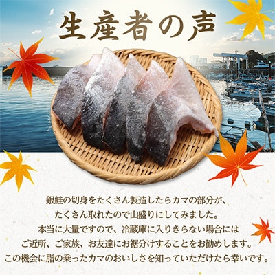 【訳あり】勝浦市の人気海鮮お礼品 銀鮭カマ 約4kg