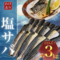 【訳あり】勝浦市の人気の海鮮お礼品 無添加 塩サバ 3kg