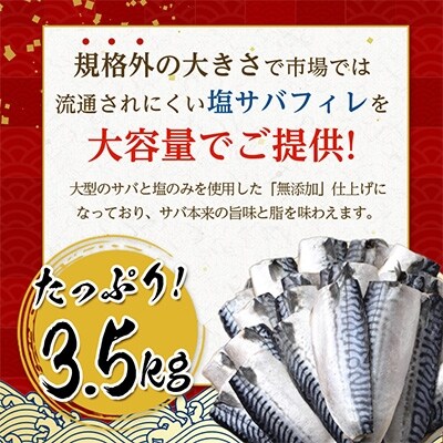 【わけあり】大容量 無添加 塩サバ 3.5kg