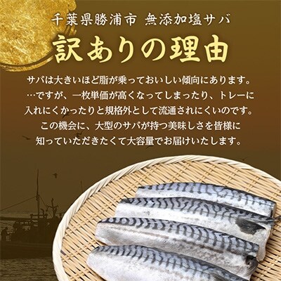 【わけあり】大容量 無添加 塩サバ 3.5kg