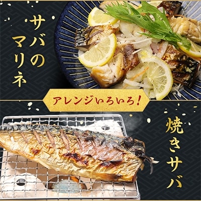 【わけあり】大容量 無添加 塩サバ 3.5kg