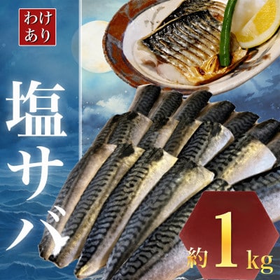 【訳あり】勝浦市の人気の海鮮お礼品 無添加 塩サバ 1kg