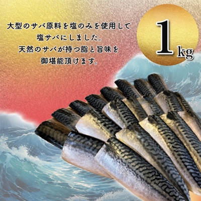 【訳あり】勝浦市の人気の海鮮お礼品 無添加 塩サバ 1kg