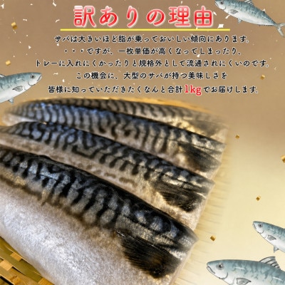 【訳あり】勝浦市の人気の海鮮お礼品 無添加 塩サバ 1kg