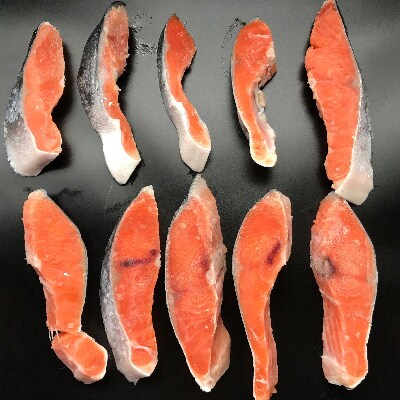 2023年4月発送開始『定期便』[訳あり]B級銀鮭切身 約2.8kg全3回