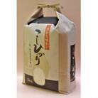 【令和6年産】長狭米こしひかり　精米　5kg