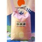 【令和6年産】長狭米　曽呂地区指定米コシヒカリ　精米　5kg