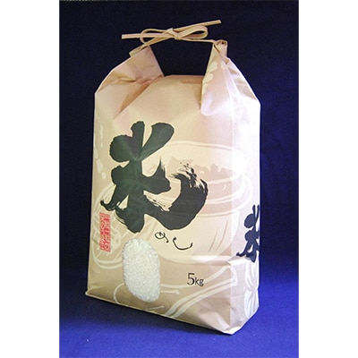 【令和7年産】勝浦産コシヒカリ　精米(5kg)