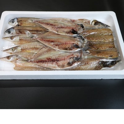 朝市新鮮広場　こだわり干物セット(5種13枚)