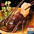 天然伊勢海老・千葉県勝浦産 生冷活〆大サイズ 500gUP×2尾 (1.2kg入)【刺身OK】贈答