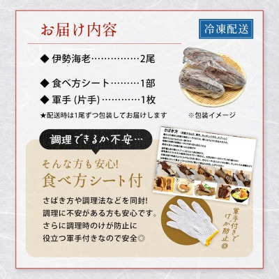 天然伊勢海老・千葉県勝浦産 生冷活〆大サイズ 500gUP×2尾 (1.2kg入)【刺身OK】贈答