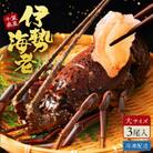 天然伊勢海老・千葉県生冷活〆 大サイズ 500gUP×3尾入1.8kg【刺身OK】贈答