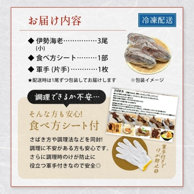 天然伊勢海老・千葉県勝浦産 生冷活〆小サイズ3尾入おためし【刺身OK】贈答