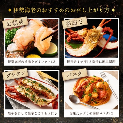 【お刺身OK】千葉県 勝浦産 生冷冷活〆いせえび3kg