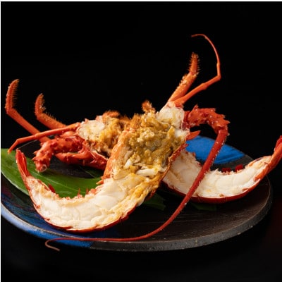 千葉県産　釜茹で伊勢海老ハーフカット　1尾　大サイズ　化粧箱入　贈答可