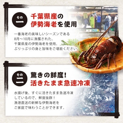 千葉県産　釜茹で伊勢海老ハーフカット　1尾　大サイズ　化粧箱入　贈答可