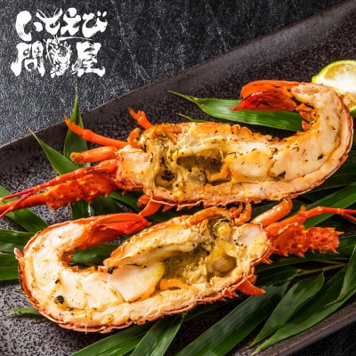 天然伊勢海老・千葉県勝浦産 生冷活〆大サイズ1尾入おためし【刺身OK】贈答
