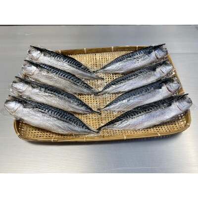 勝浦　松田商店　灰干しさば　大(約240g)　8枚入り(真空包装ではございません)
