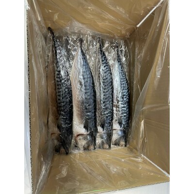 勝浦　松田商店　灰干しさば　大(約240g)　8枚入り(真空包装ではございません)