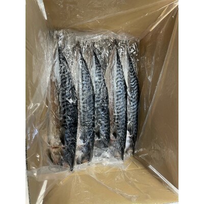 勝浦　松田商店　灰干しさば　(約210g)　10枚入り(真空包装ではございません)