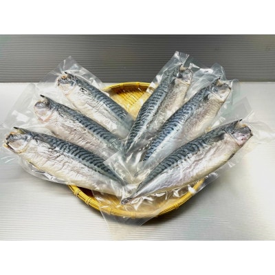 勝浦松田商店の灰干しさば(ノルウェー産)　Mサイズ(約210g)　6枚入　真空包装　　