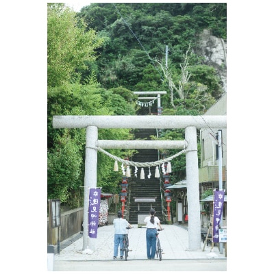 【千葉・房総・勝浦】電動アシスト付レンタサイクル1日乗り放題利用券2枚(オリジナルタンブラー2本付)