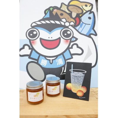 朝市梅ピューレ 2個セット