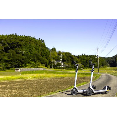 BIRD電動キックボード 30時間ライド無料ギフトコード