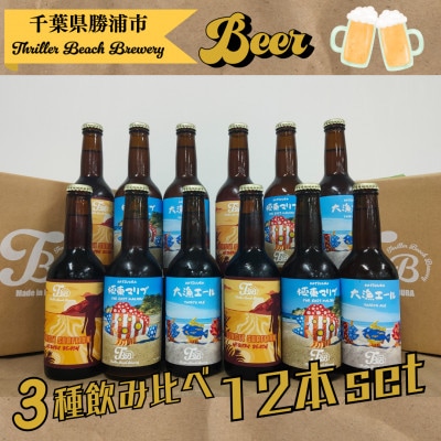 クラフトビール3種飲み比べセット【瓶330ml×12本】千葉県勝浦市にある醸造所より直送