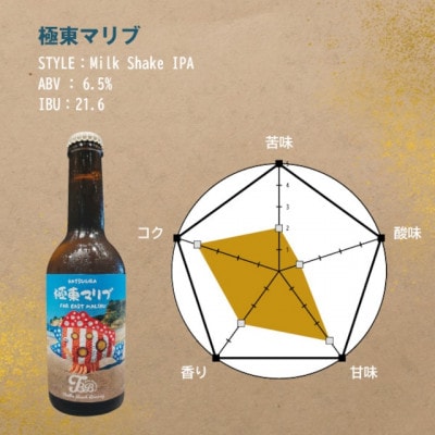 クラフトビール3種飲み比べセット【瓶330ml×12本】千葉県勝浦市にある醸造所より直送